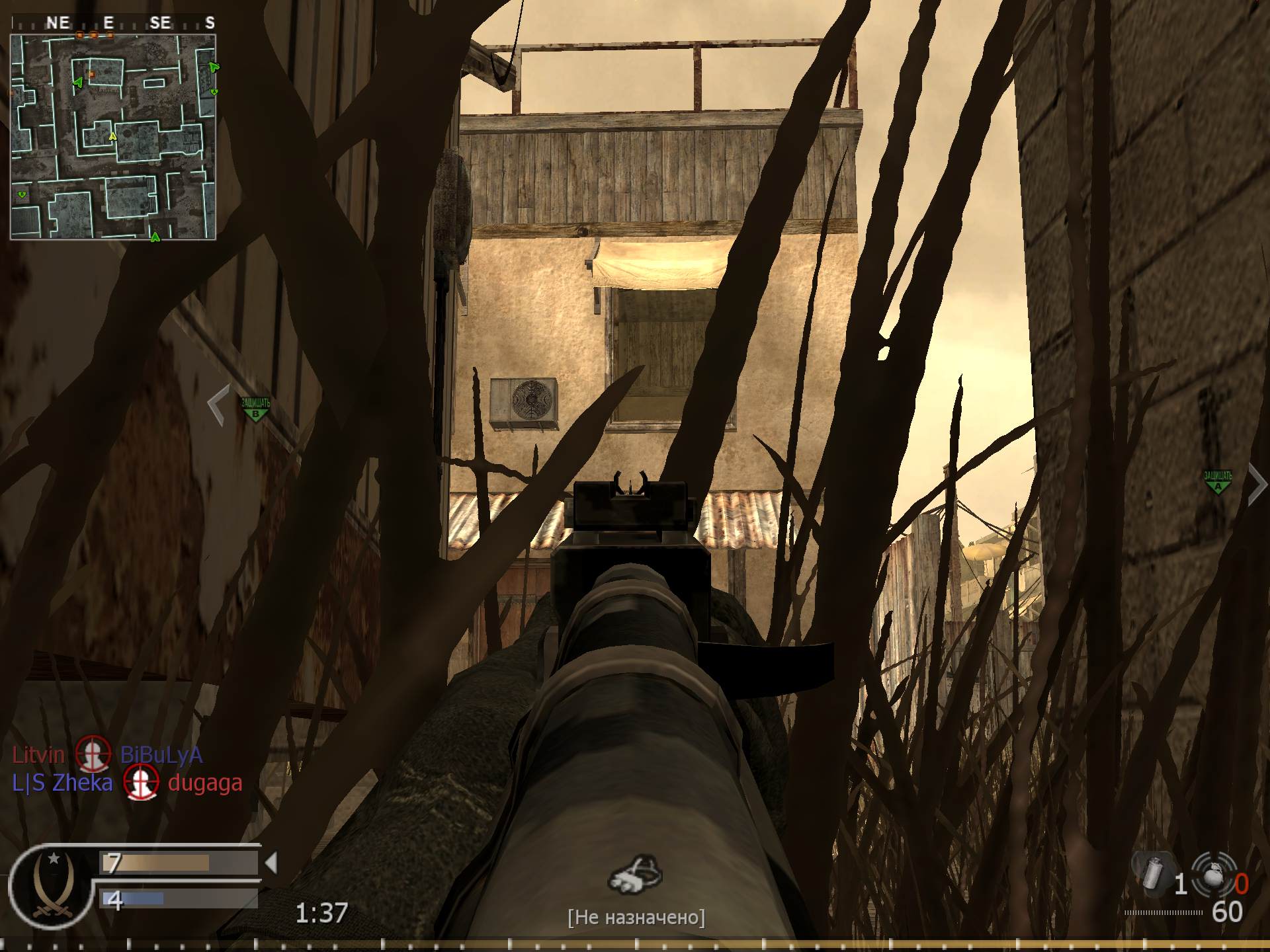 Rozovaya, mp_backlot, COD @ kaluga.org | Public #3 | Ranked |
