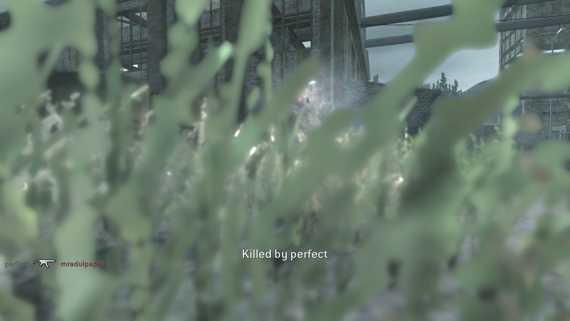 mradulpapaji, mp_pipeline, COD @ kaluga.org | Hardcore #1 | Ranked |